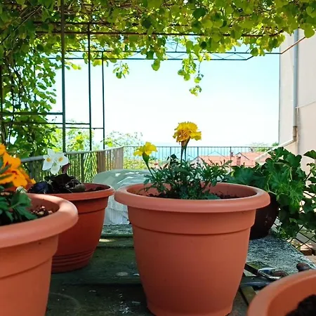 Olea Apartment *